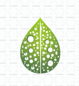 Tautropfen auf einem Blatt